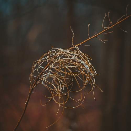 Photo #6734928