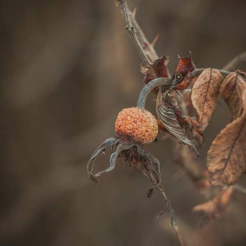Photo #6734939