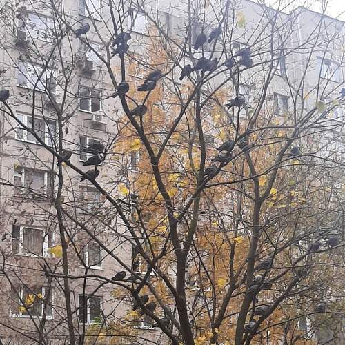 Photo #6734954