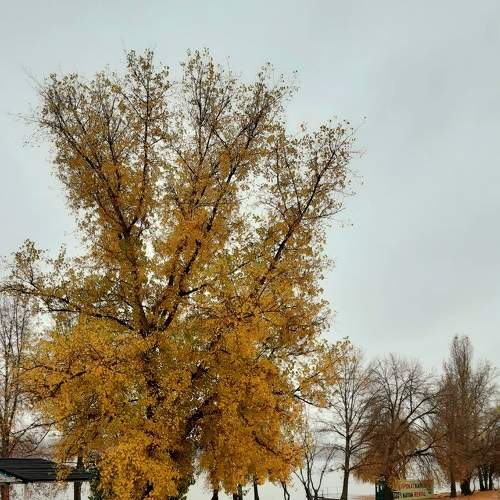 Photo #6735061