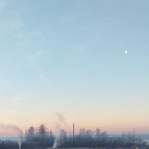 Photo #6735165