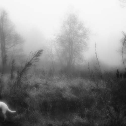 Photo #6735171