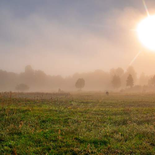 Photo #6735225