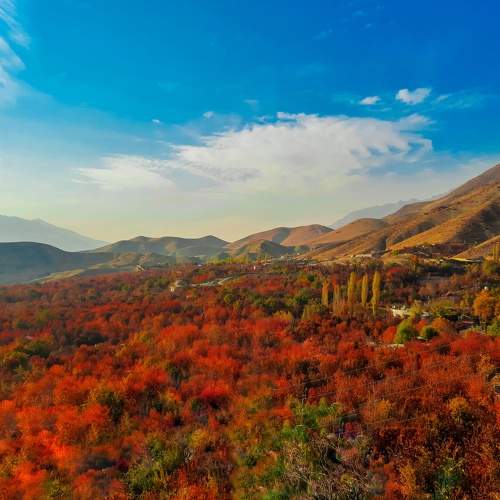Iran