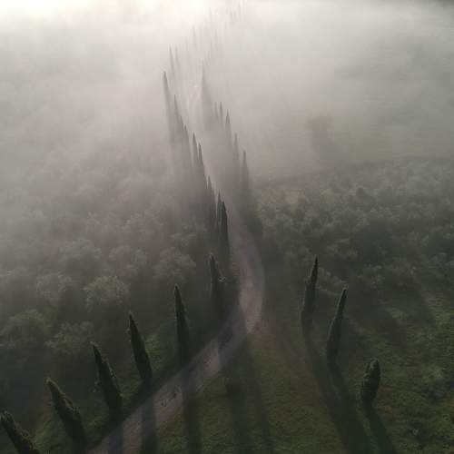 Photo #6735414