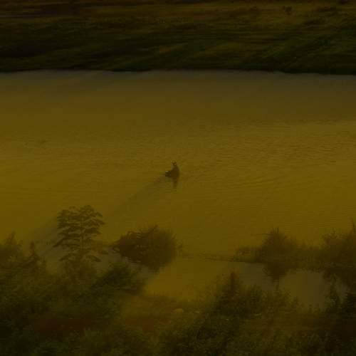 Photo #6735504