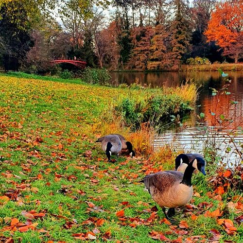 Photo #6736415