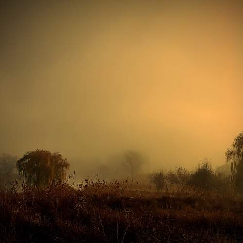 Photo #6736582