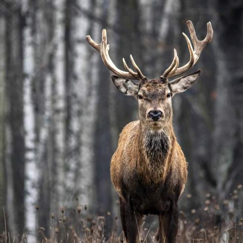 Photo #6736882