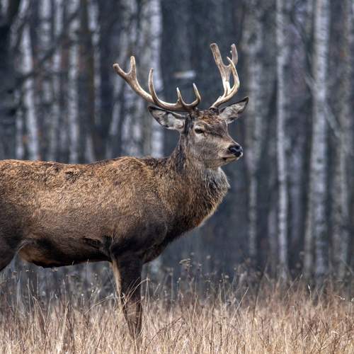 Photo #6736916