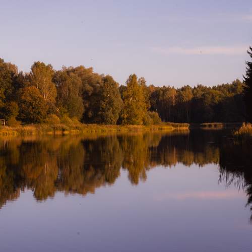 Photo #6737233