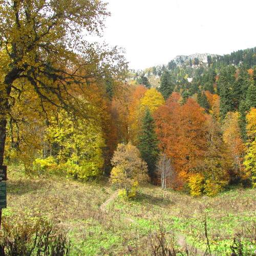 Photo #6737321