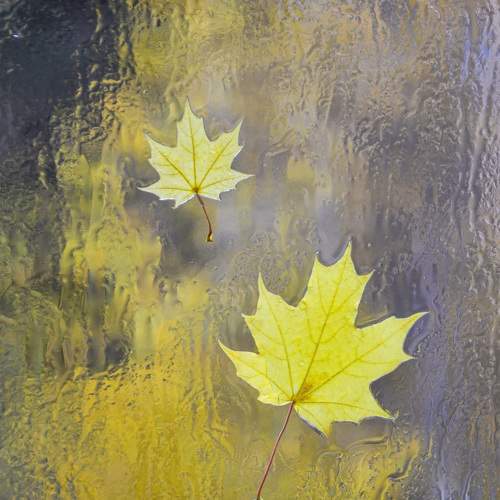 Photo #6737638