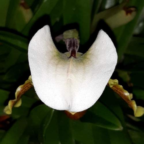 Photo #6737814
