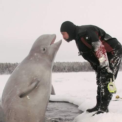 Photo #6737868