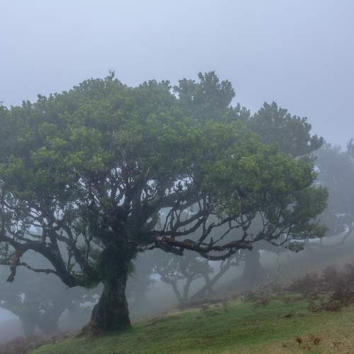 Photo #6738351