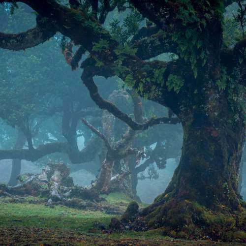 Photo #6738352
