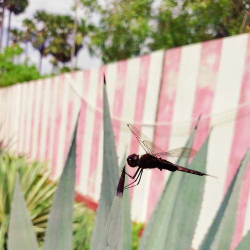 Photo #6738413