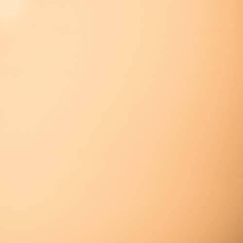 Photo #6738477