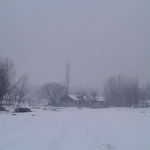Photo #6738575
