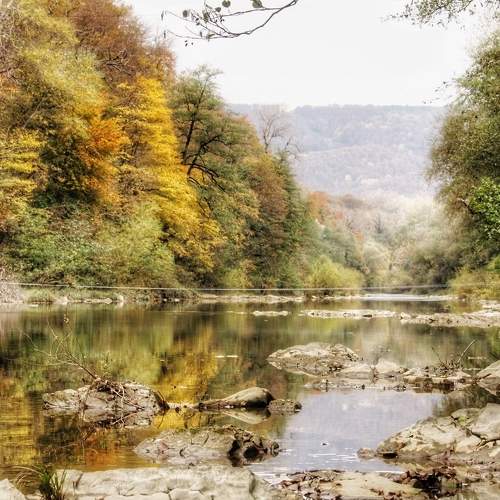 Photo #6738761