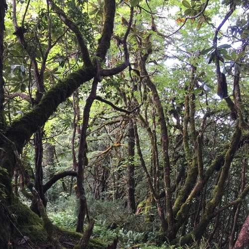 Photo #6739103
