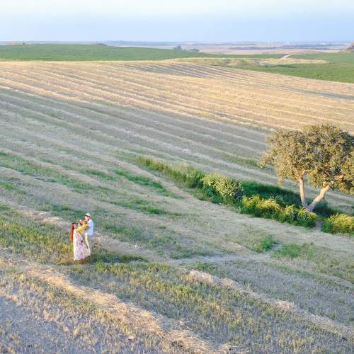 Photo #6739237