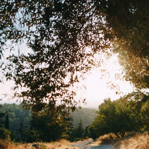 Photo #6739305