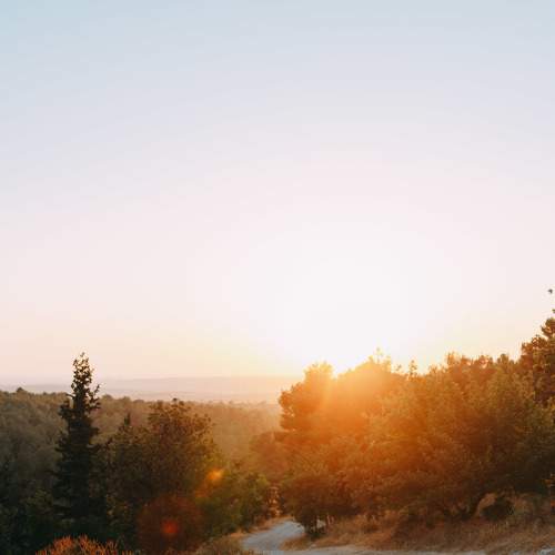 Photo #6739308