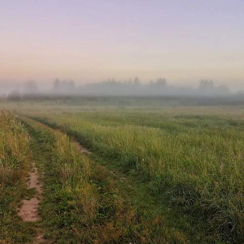 Photo #6739510