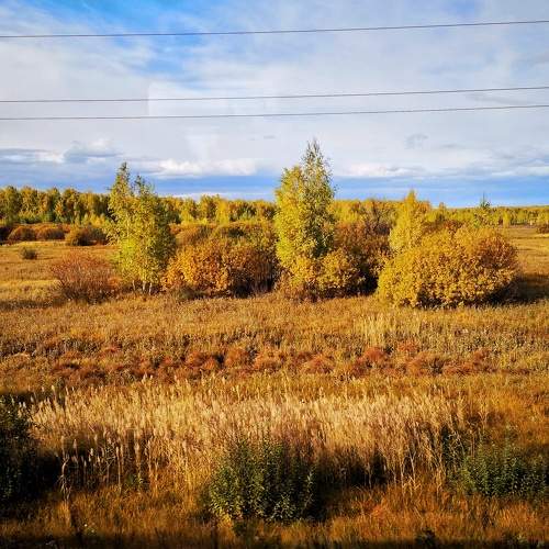 Photo #6739630