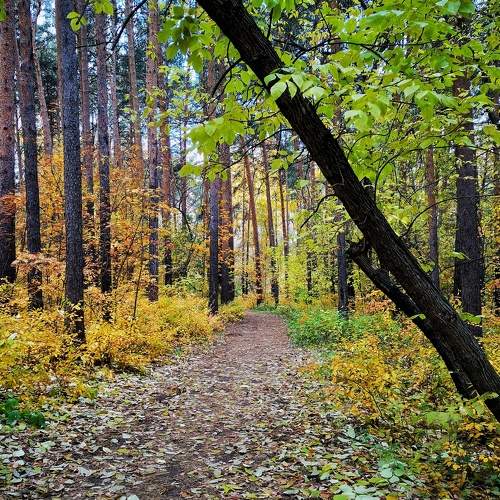 Photo #6739631