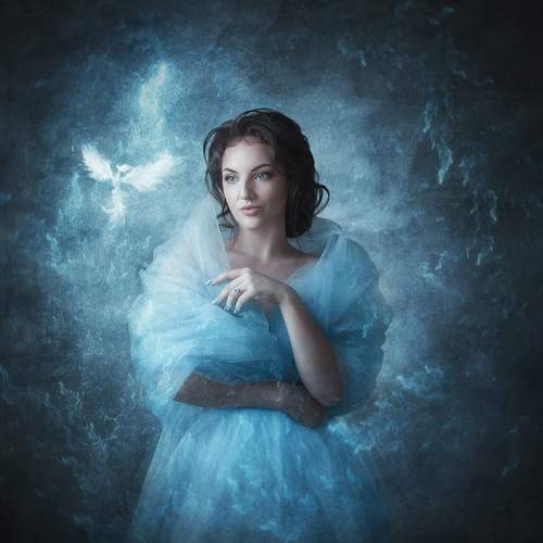 Photo #6739925
