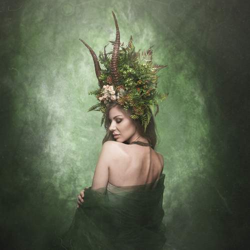 Photo #6739927