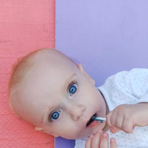 Photo #6739959