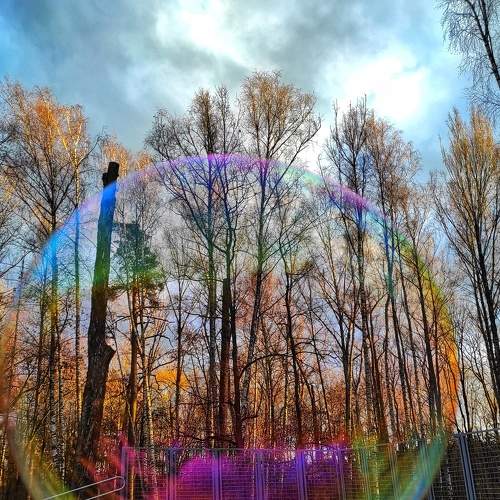 Photo #6740043