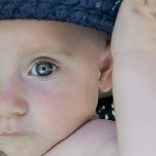 Photo #6740163
