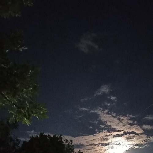 Photo #6740263