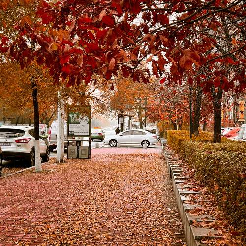 Photo #6740503