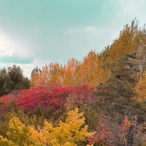 Photo #6740527