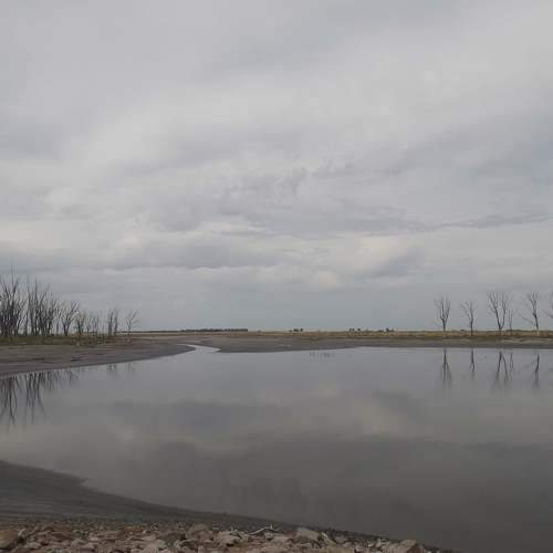 Photo #6740775