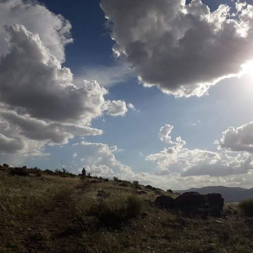 Photo #6740779