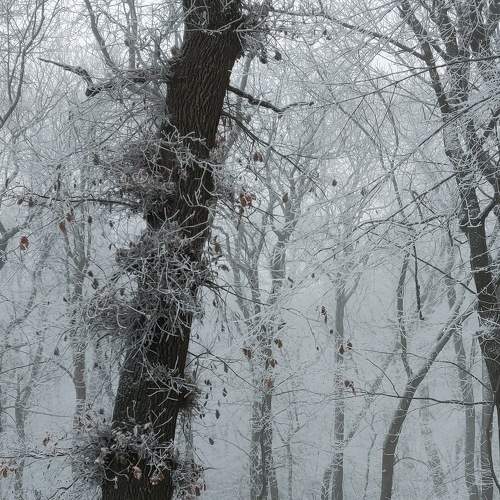 Photo #6740907