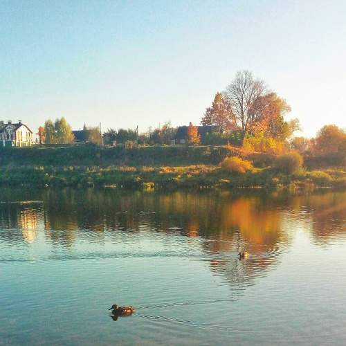Photo #6741747