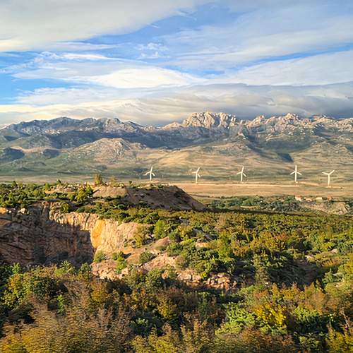 Photo #6742964