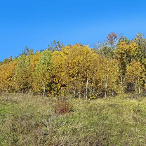 Photo #6743006