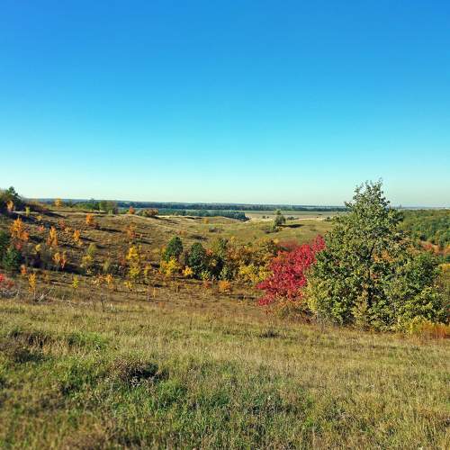 Photo #6743007