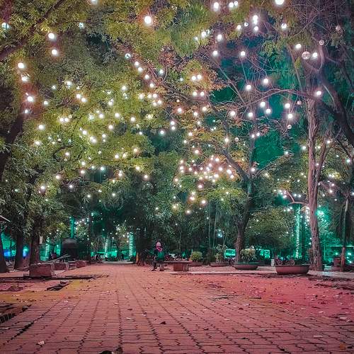 Fantasy at the park