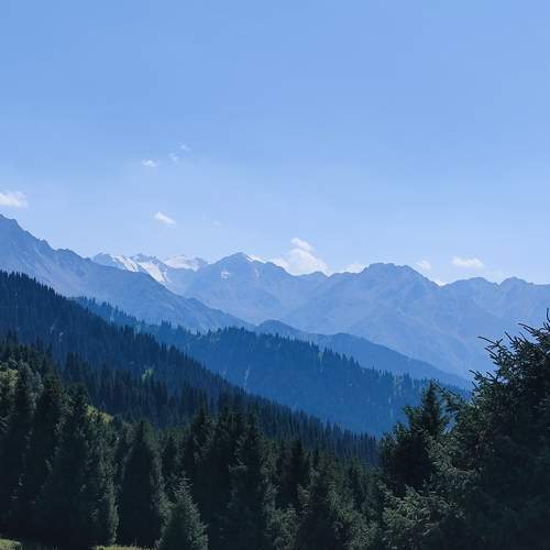Photo #6743219