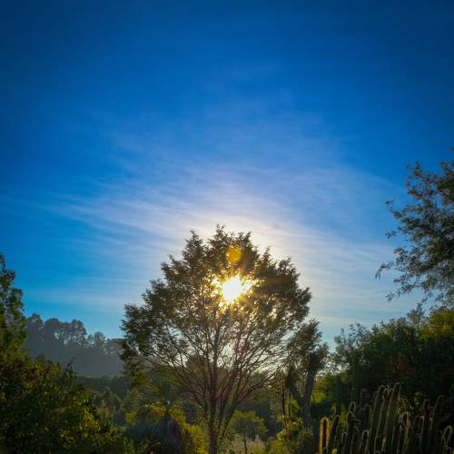 Photo #6743248